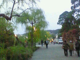 200811011716000.jpg