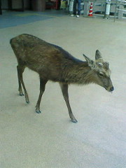 200811031446000.jpg