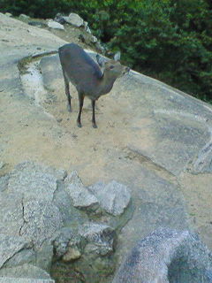 200811031701001.jpg