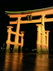 200811031805001.jpg