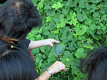 20120817_02.jpg