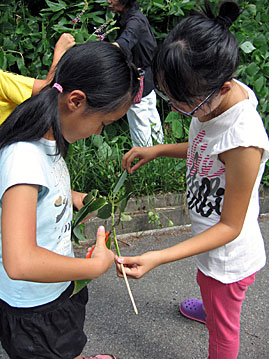 20120817_03.jpg