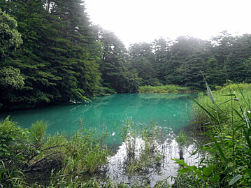 20120818_01.jpg