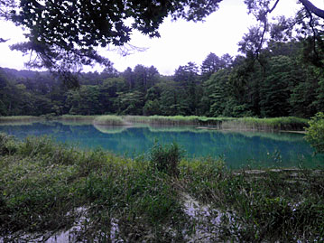 20120818_02.jpg