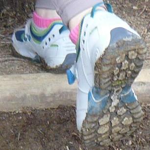 LLbean