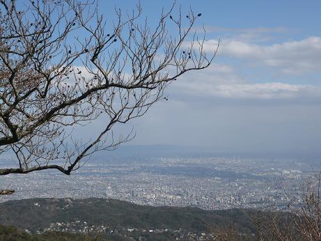 最高峰からの景色