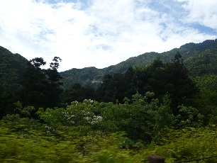 屋久島の山