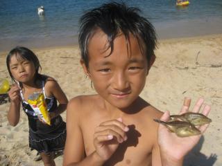 魚