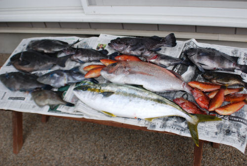 釣果