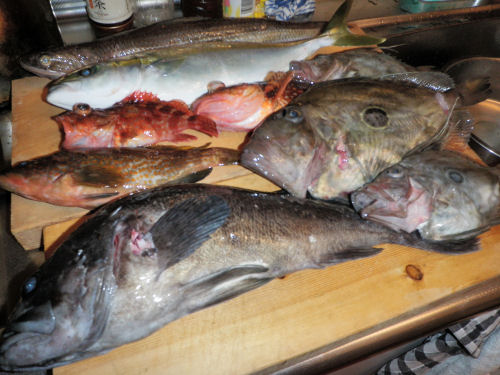 釣果1