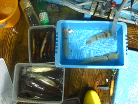釣果1