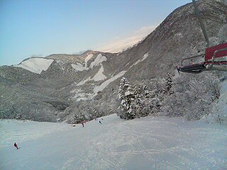 20070117_328278.jpg