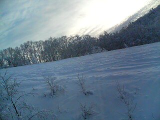 20070122_330178.jpg