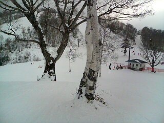 20070123_330801.jpg