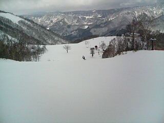20070125_331370.jpg