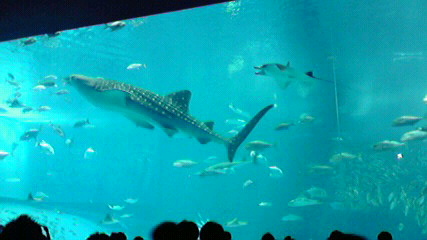 2009090812340000.jpg