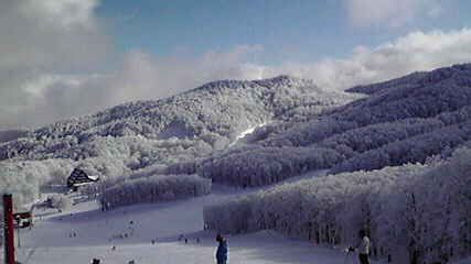 2010013017000000.jpg