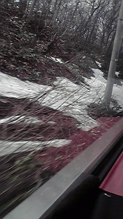 2011041810110000.jpg
