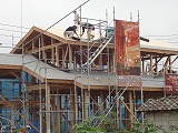 DSC02518.jpg