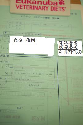 記入した用紙