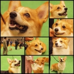 こぎこぎこぎ♪