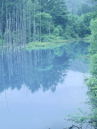 青池