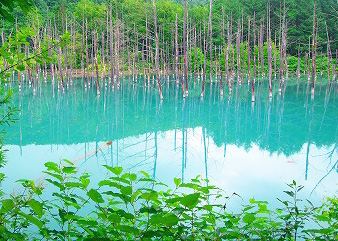 青池