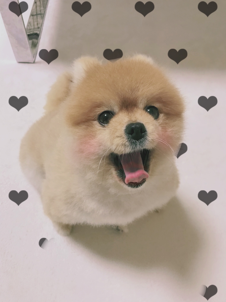 image1.jpeg
