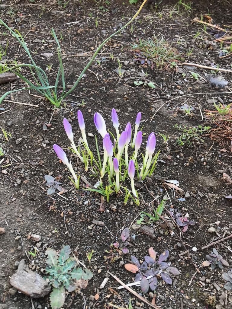 image1.jpeg