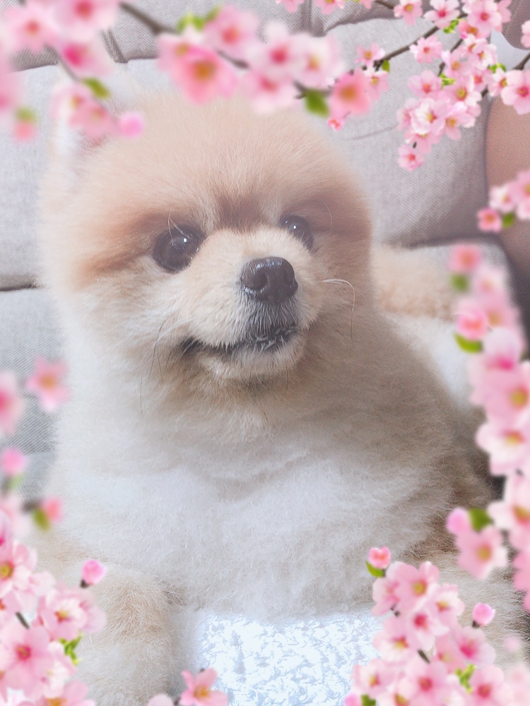 image0.jpeg