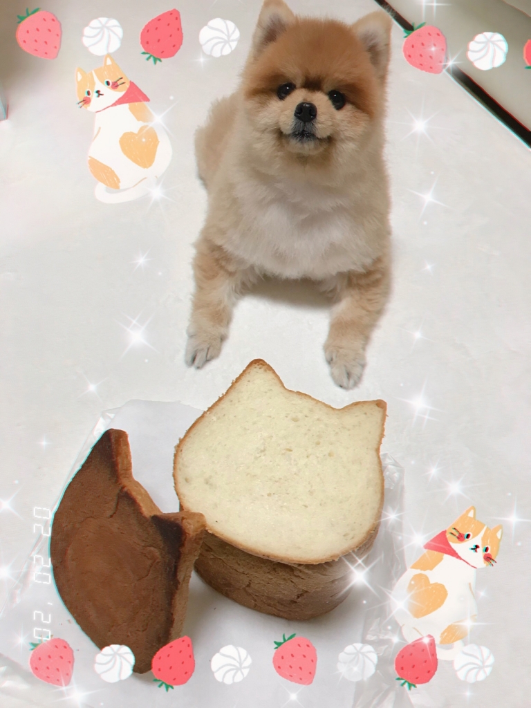 image0.jpeg