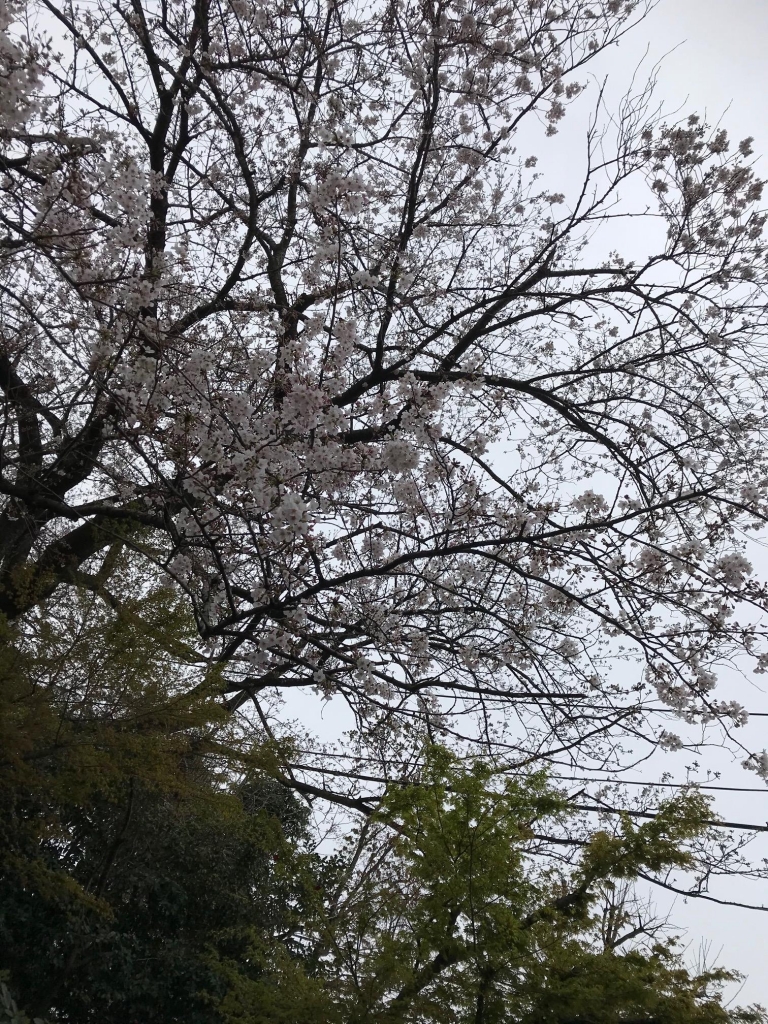 image0.jpeg