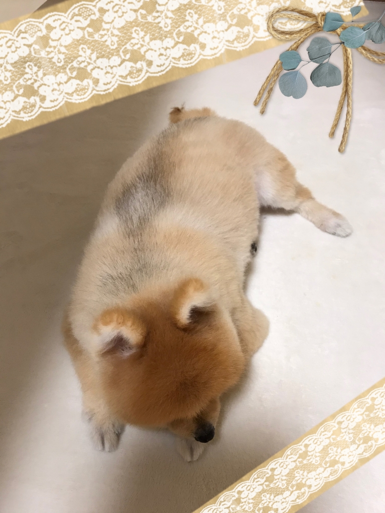 image0.jpeg