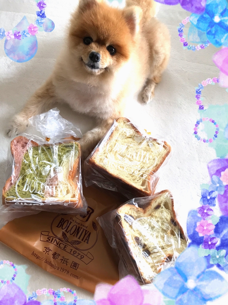 image0.jpeg