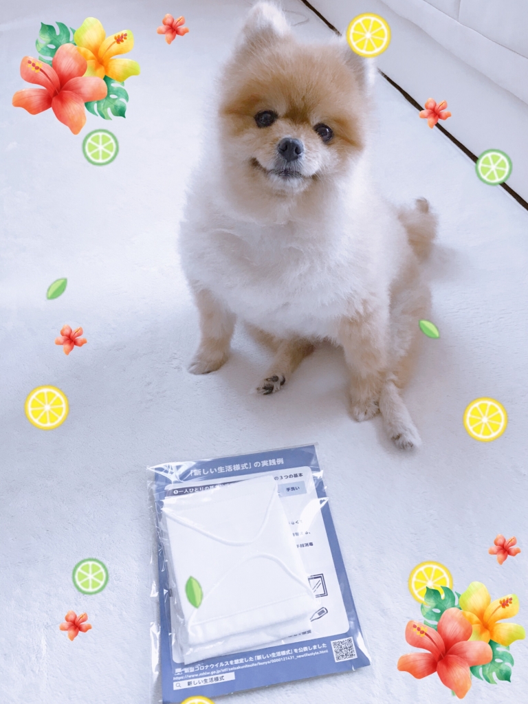 image1.jpeg