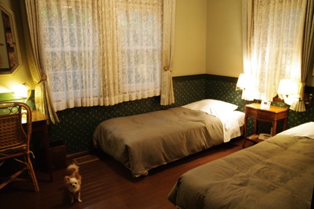 IMGP6373.jpg