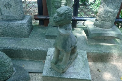 首が違う?