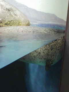 20070314_174091.jpg