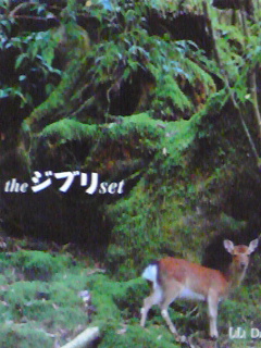 080815_0000~01.jpg