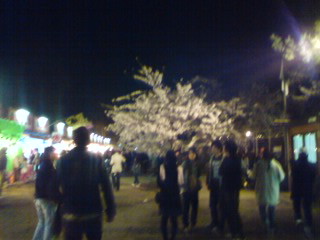 hanami