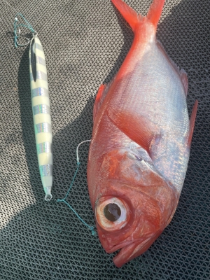 新島キンメジギング 2021 | FISHING LABS DEEP LINER