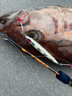 ディープライナー ロジカル55 ジギングロッド 竿袋付き ロジカル55#7