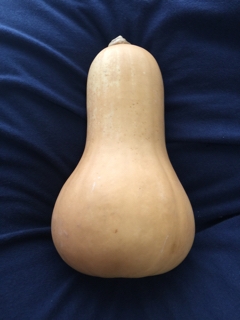 バターナッツかぼちゃ