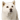グラフィック0225.gif