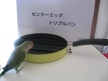 卵1つで作る卵焼きフライパン