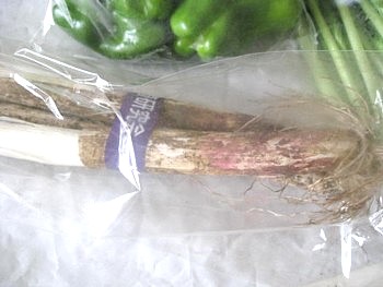 オイシックスの野菜4