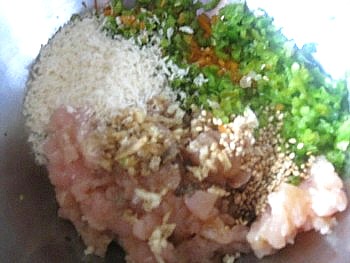 チキンバーグ5