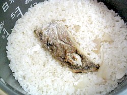 鯛めし7