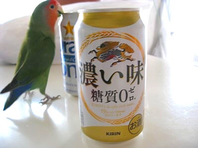 濃い味 発泡酒