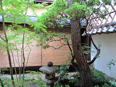 お茶 (13).JPG